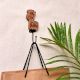 Brown Wooden Giraffe Wall Hooks For Kids